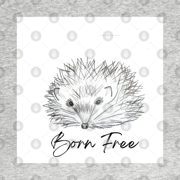 Born free hedgehog by LitchiArt